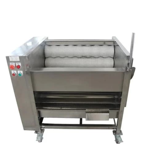 Ginger Garlic Turmeric Paste & Powder Plant