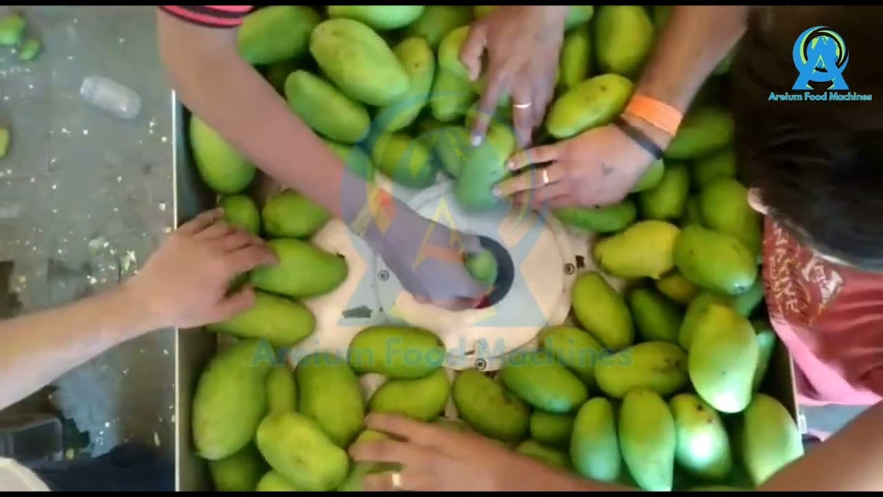 Commercial Food Processing Equipment Demo by AREIUM Food Machines