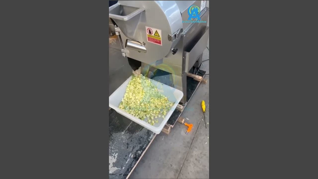Vegetable Washer and Peeler Machine Video by AREIUM Food Machines