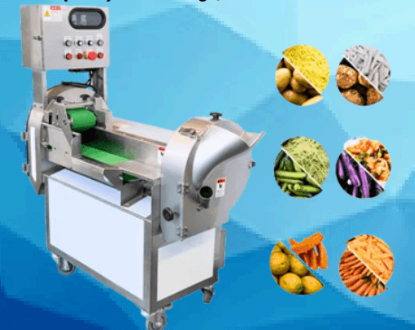 Double Head Vegetable Cutter manufacturer in India - AREIUM Food Machines