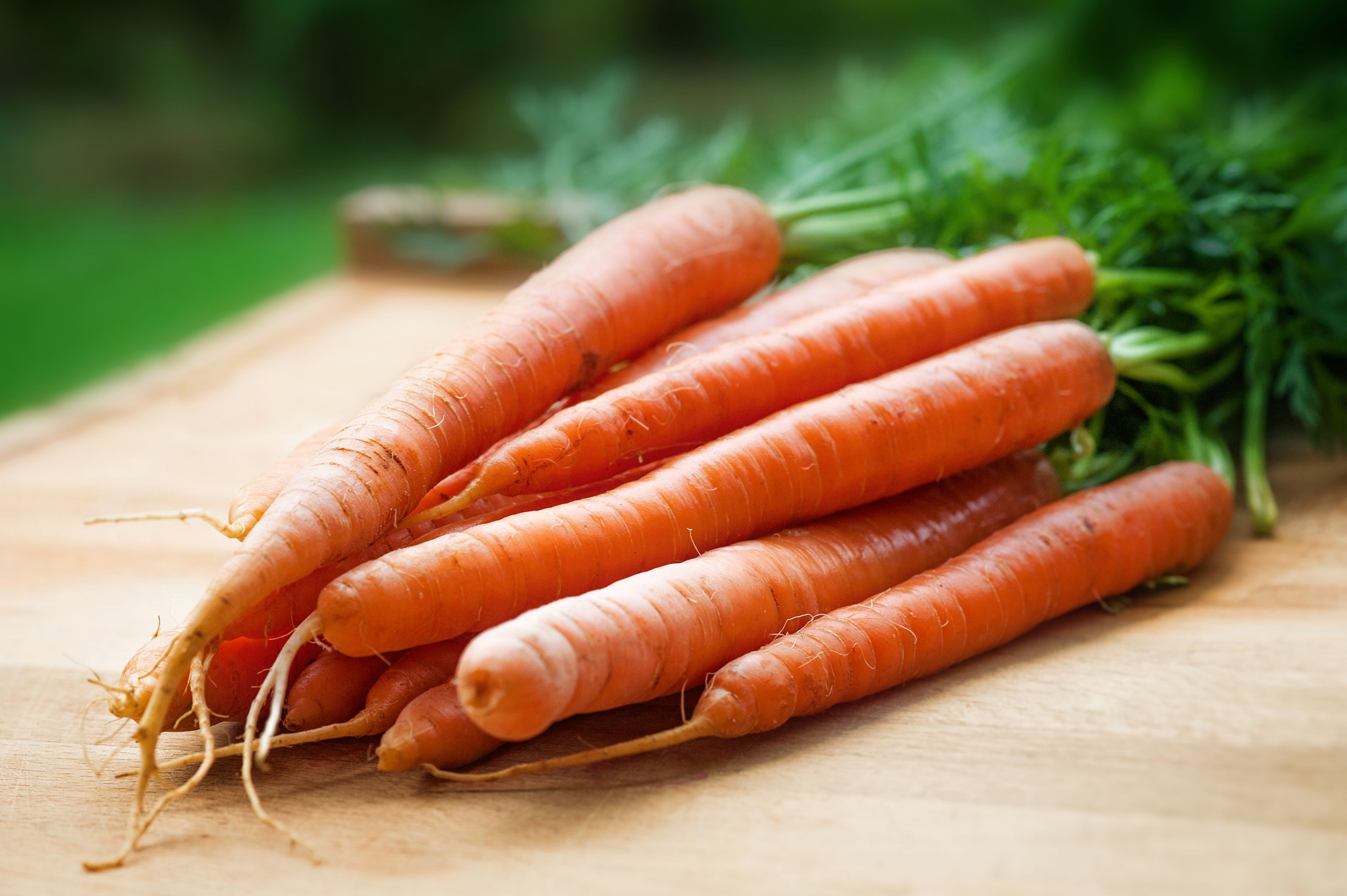 Fruit & Vegetable Washer Machine Buying Guide: Types, Capacity, Price & Industrial Uses